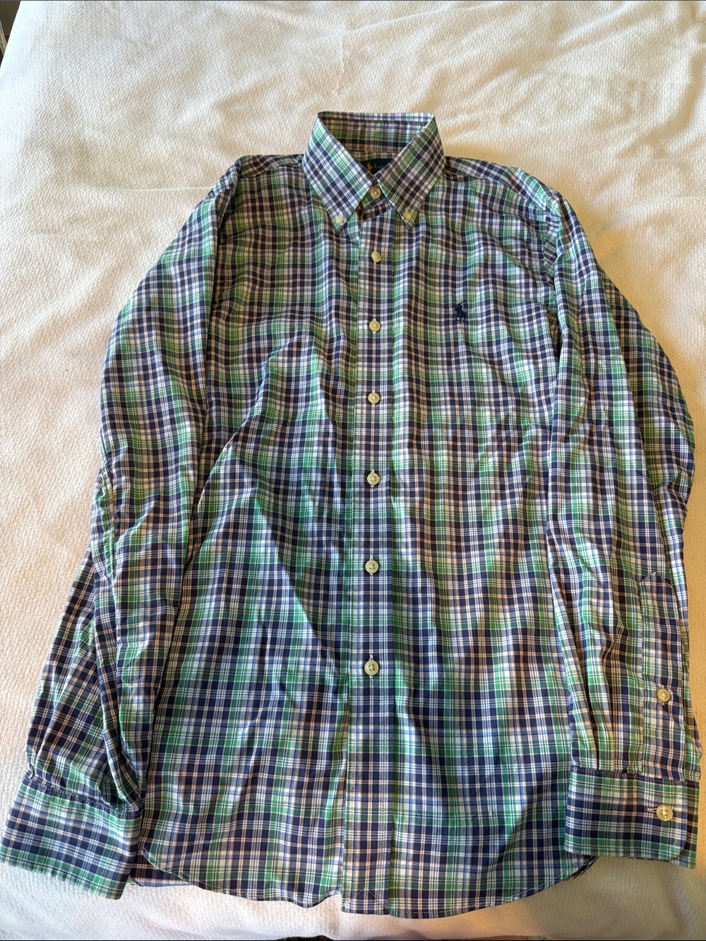 Polo by Ralph Lauren Green & Blue Plaid Button-Down Shirt